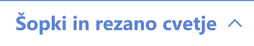 Poročno cvetje | Cvetličarna Požar