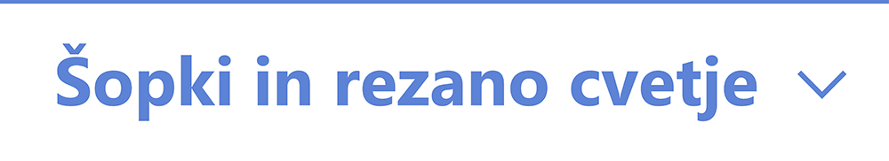 Poročno cvetje | Cvetličarna Požar